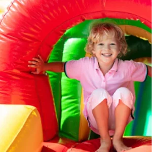 Gator Hide and Slide - Afbeelding 2